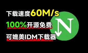 下载速度60Ms，直接跑满带宽！最新NDM中文绿色汉化版，内附详细安装使用教程，平替IDM下载器