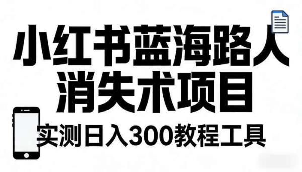 小红书蓝海路人消失术项目 实测日入300教程工具