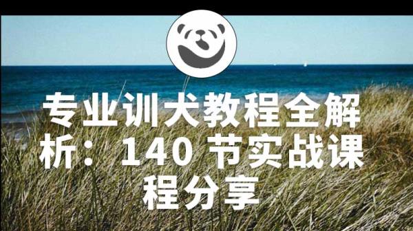 专业训犬教程全解析：140节实战课程分享