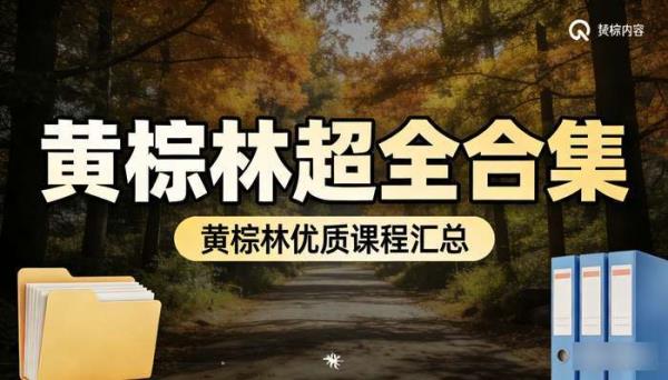 黄棕林超全合集 黄棕林优质课程汇总