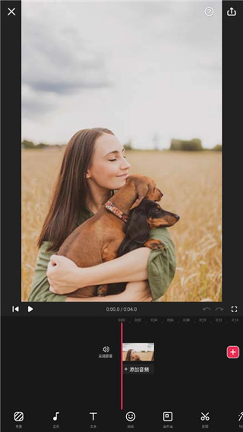 VideoGuru v1.601.190 手机高效视频编辑剪辑软件简介