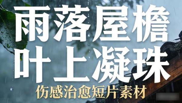 唯美意境下雨水滴树叶屋檐 伤感治愈短片剪辑视频素材