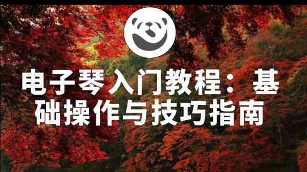 电子琴入门教程：基础操作与技巧指南