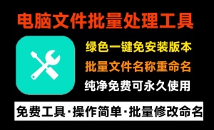 1000个文件重命名，1秒完成！批量文件重命名软件，支持图片视频文件批量命名，纯免费绿色免安装版