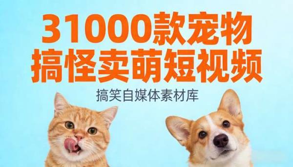 31000款宠物搞怪卖萌 搞笑短视频自媒体素材
