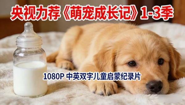 央视力荐《萌宠成长记》1-3 季：1080P 中英双字儿童启蒙纪录片