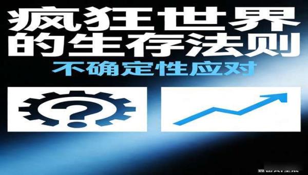《疯狂世界的生存法则》（13 册）：不确定性应对