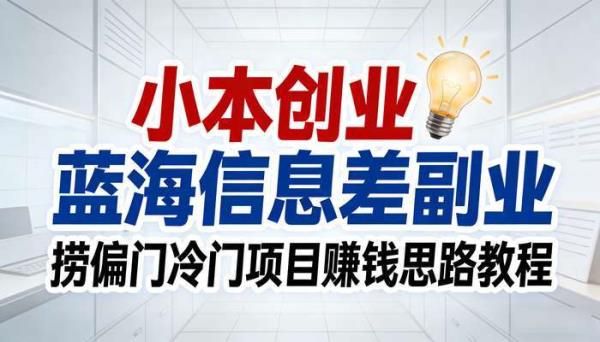 小本创业蓝海信息差副业 捞偏门冷门项目赚钱思路教程
