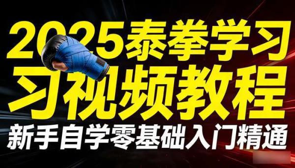 2025泰拳学习视频教程 新手自学零基础入门精通