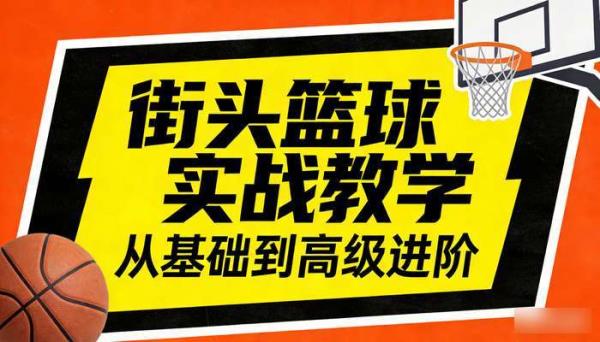 街头篮球从基础到高级教学 篮球技巧实战培训