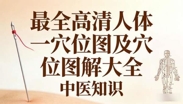 最全高清人体穴位图及穴位图解大全 中医知识