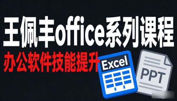 王佩丰office系列课程 办公软件技能提升