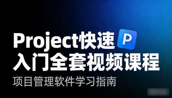Project快速入门全套视频课程 项目管理软件