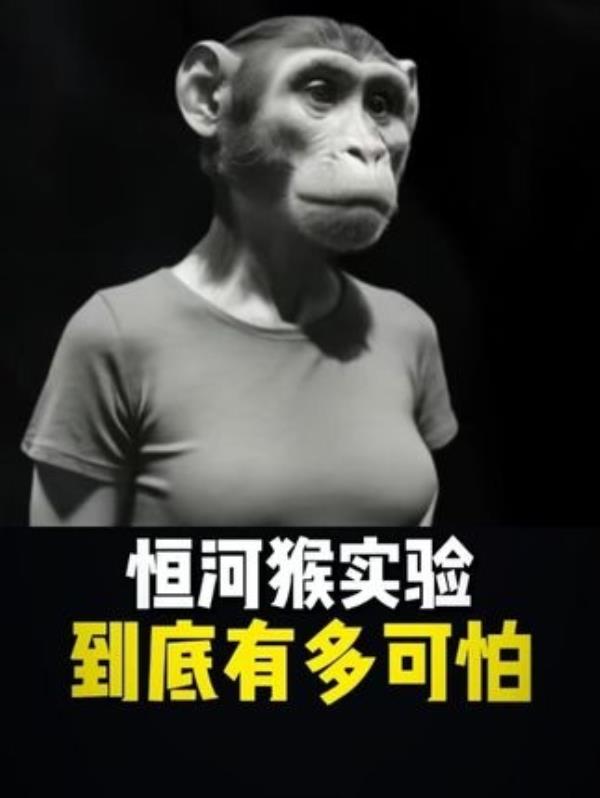 恒河猴实验揭示母爱本质，拯救无数儿童：震惊世界的科普之旅。