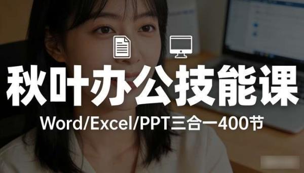 秋叶WordExcelPPT三合一400节 办公技能课