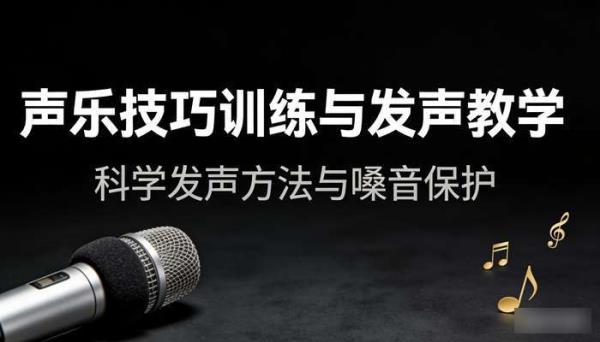声乐教程类 声乐技巧训练与发声教学