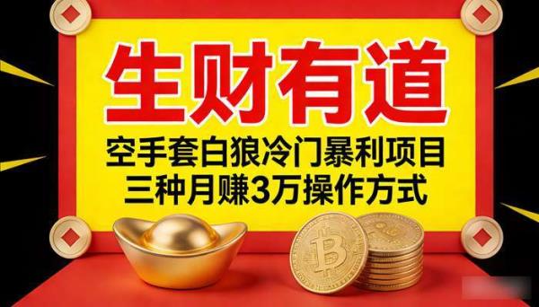 《生财有道》空手套白狼冷门暴利项目 三种月赚3万操作方式