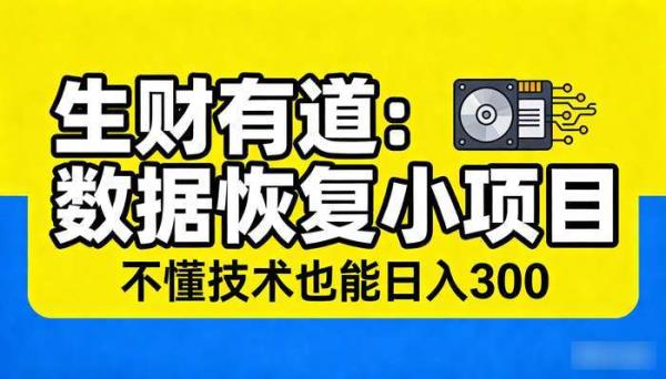 《生财有道》数据恢复隐藏小项目 不懂技术也能日入300