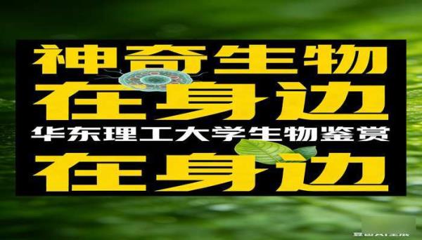 神奇生物在身边 华东理工大学生物鉴赏 PPT 书籍