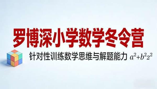 罗博深小学数学冬令营，针对性训练数学思维与解题能力