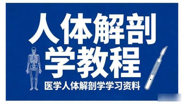 人体解剖学教程 医学人体解剖学学习资料