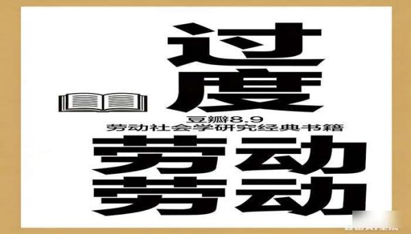 过渡劳动（豆瓣 8.9） 劳动社会学研究经典书籍