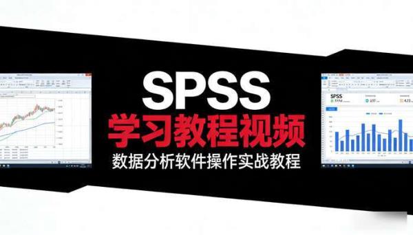Spss学习教程视频 数据分析软件操作实战教程
