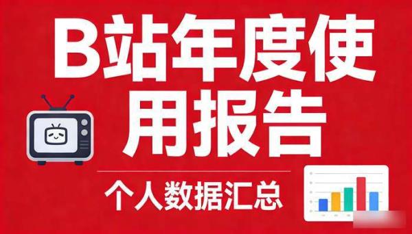 B站年度使用报告 查询个人数据汇总