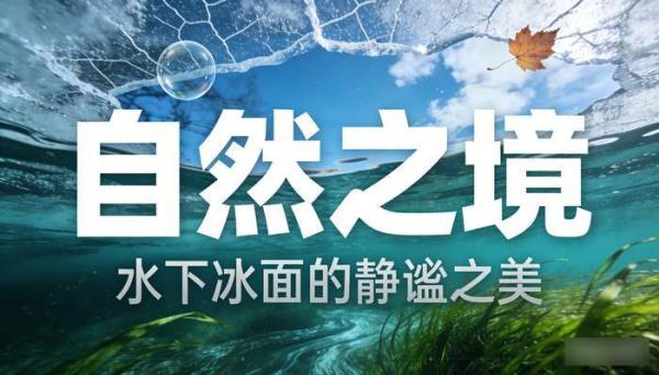 竖屏水面冰面水下风景 高清国外大自然唯美自媒体短视频素材