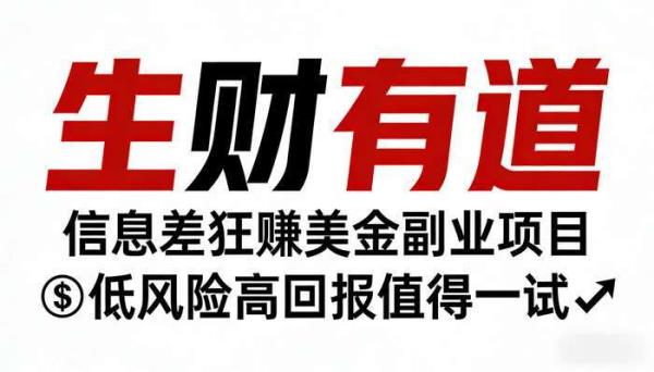 《生财有道》信息差狂赚美金副业项目 低风险高回报值得一试