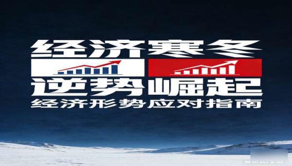 经济寒冬怎么过如何逆势崛起 经济形势应对指南书籍