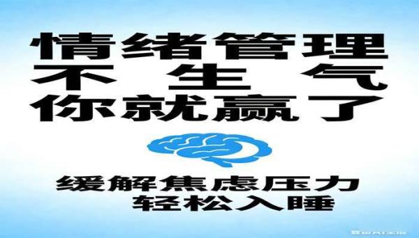 情绪管理不生气你就赢了 缓解焦虑压力轻松入睡书籍