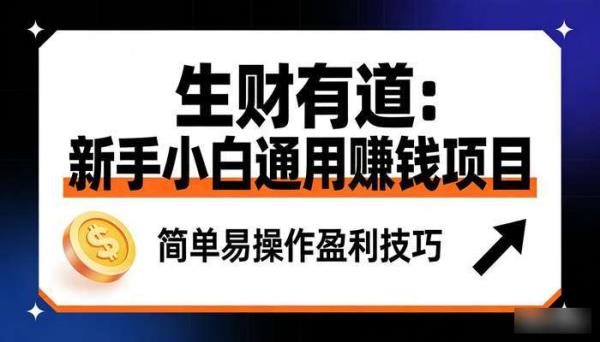 《生财有道》新手小白通用赚钱项目 简单易操作盈利技巧