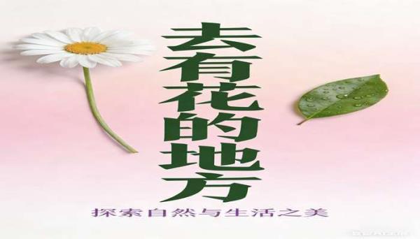 去有花的地方 探索自然与生活之美的散文书籍