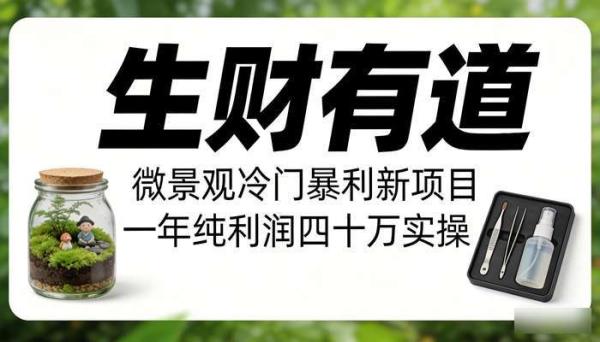 《生财有道》微景观冷门暴利新项目 一年纯利润四十万实操