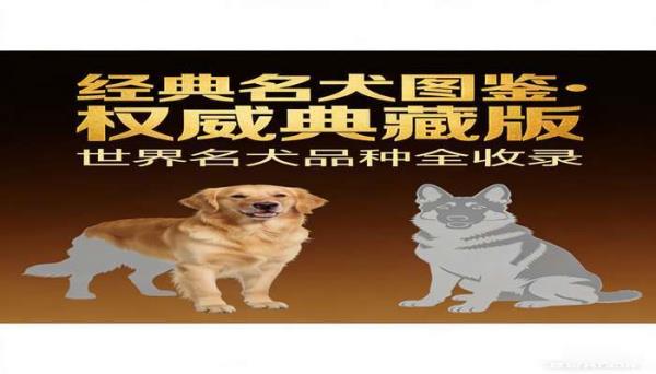经典名犬图鉴权威典藏版 收录各类名犬的图鉴书籍