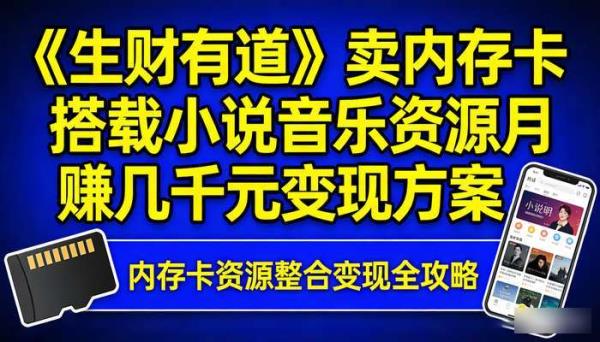 《生财有道》卖内存卡搭载小说音乐资源 月赚几千元变现方案