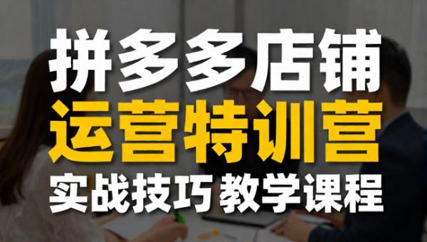 纪主任拼多多店铺运营特训营实战技巧教学课程