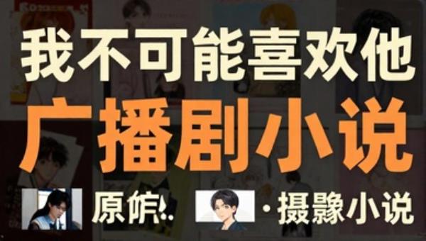 我不可能喜欢他广播剧小说
