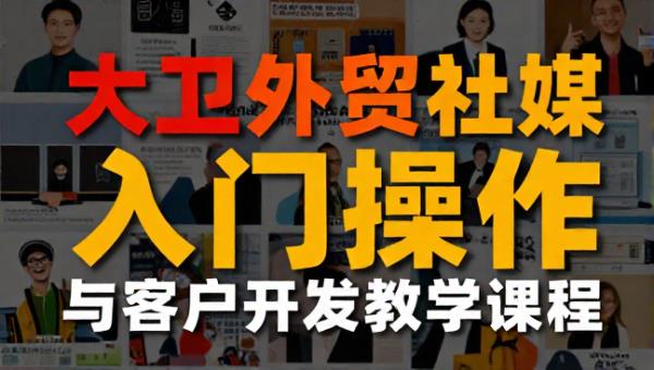 大卫外贸社媒平台入门操作与客户开发教学课程