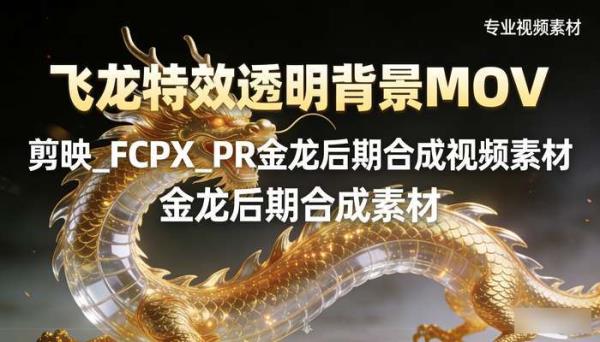 飞龙特效透明背景MOV 剪映_FCPX_PR金龙后期合成视频素材