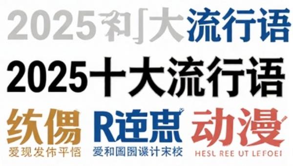 2025十大流行语图书