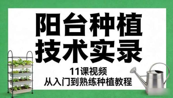 阳台种植技术实录 11 课视频 从入门到熟练种植教程