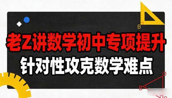 老 Z 讲数学初中专项提升：针对性攻克数学难点