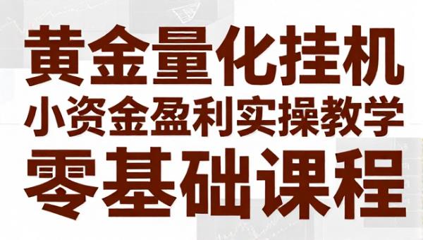 黄金量化挂机小资金盈利实操教学零基础课程