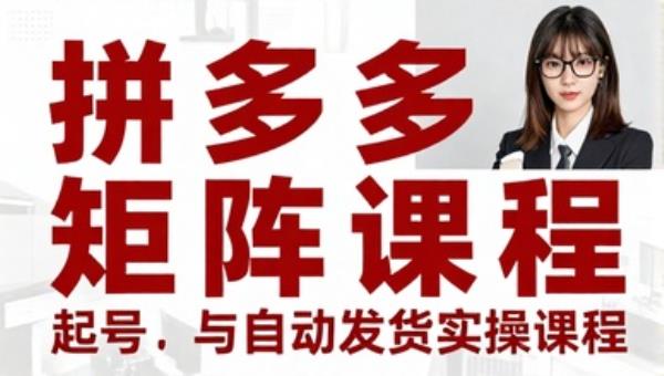 拼多多虚拟店铺矩阵起号与自动发货实操课程