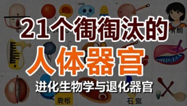 21个被淘汰的人体器官：进化生物学与退化器官