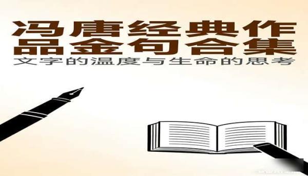 冯唐经典作品金句合集资料