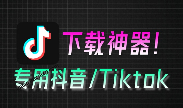 最新某音TikTok一键下载器，主页视频批量下载、直播、视频、图集解析，一键批量下载 抖音下载器
