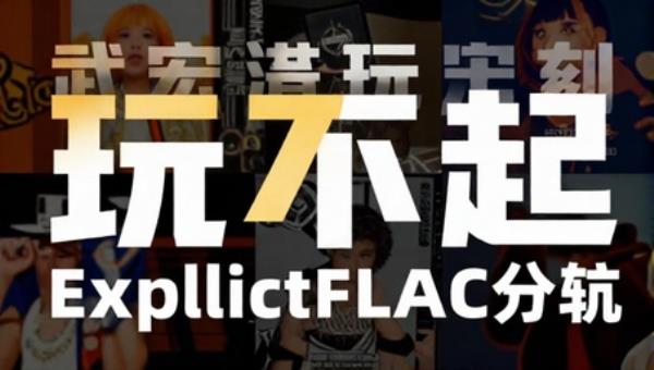 武宏澧玩不起ExplicitFLAC分轨